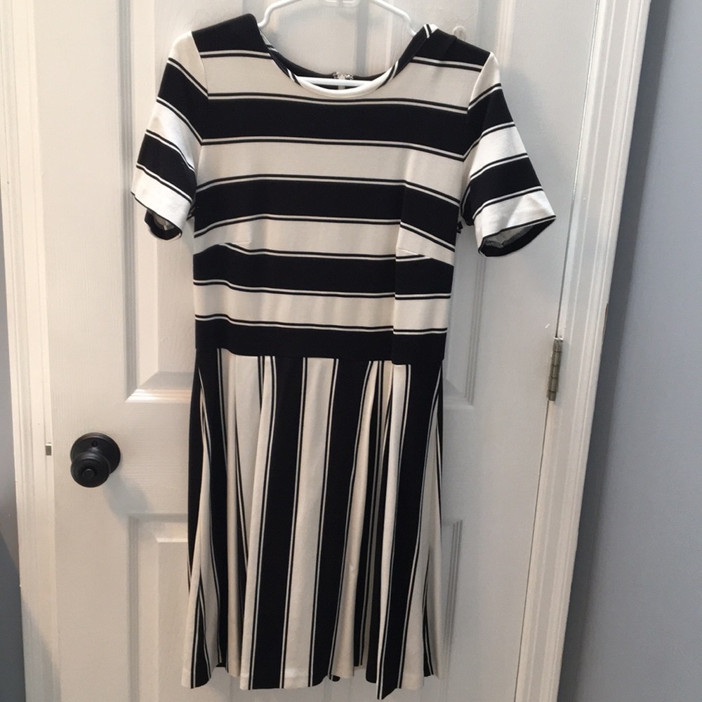 Loft black and white cotton a-line swing dress